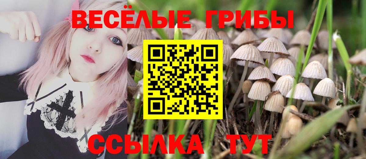 Галлюциногенные грибы Psilocybe  Вход с VPN  где купить наркоту  Карталы 