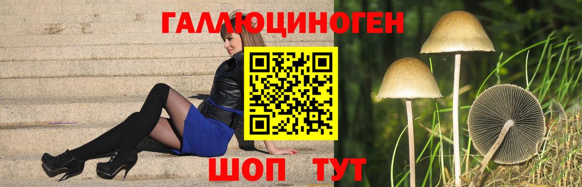 Галлюциногенные грибы мухоморы Карталы